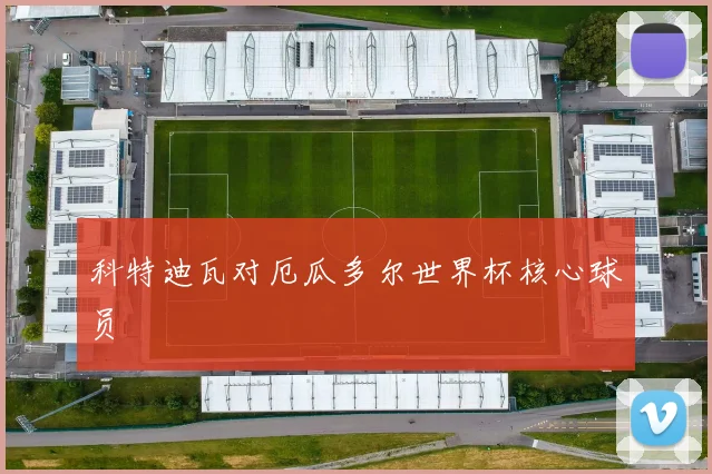 科特迪瓦对厄瓜多尔世界杯核心球员