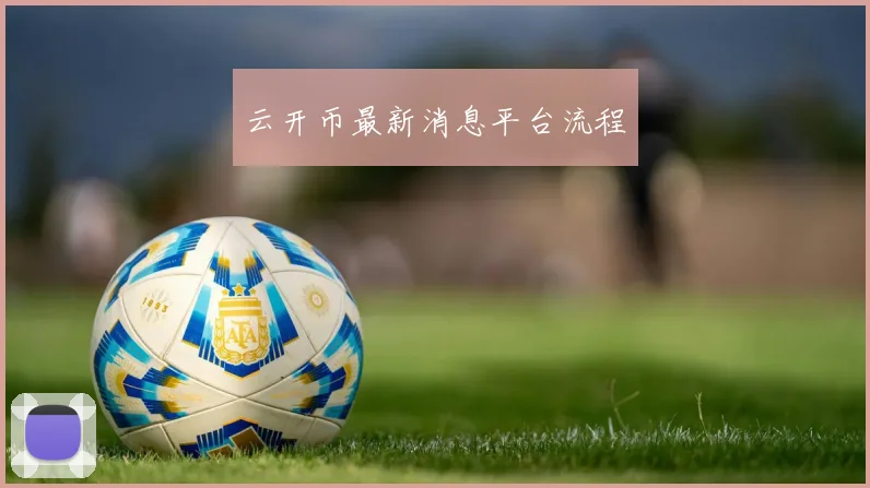 云开币最新消息平台流程