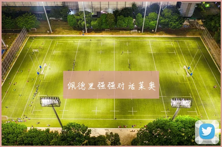 佩德里强强对话莱奥