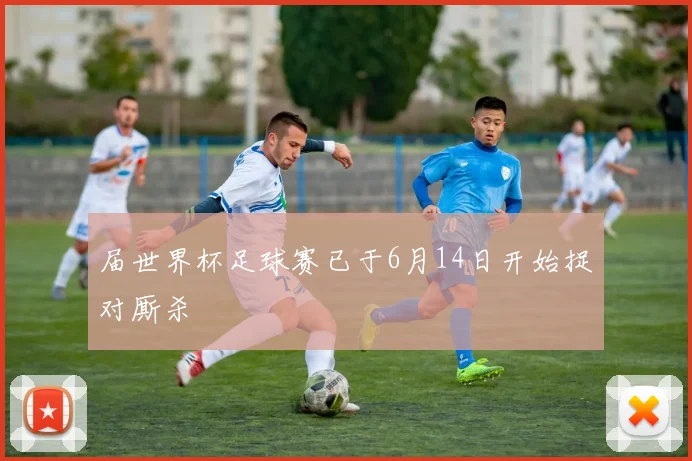 届世界杯足球赛已于6月14日开始捉对厮杀
