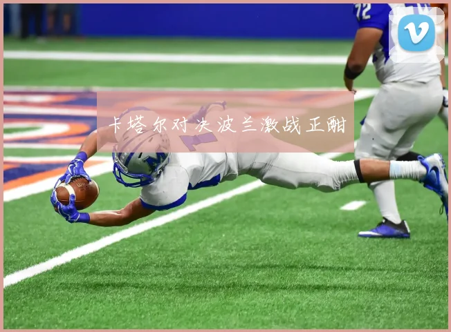 卡塔尔对决波兰激战正酣