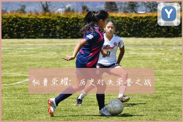 秘鲁荣耀：历史对决荣誉之战