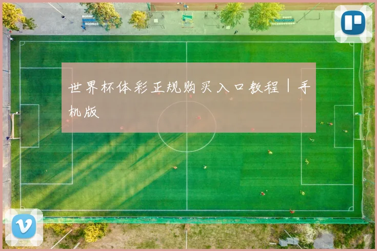 世界杯体彩正规购买入口教程｜手机版