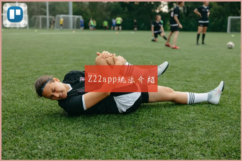 Z22app玩法介绍