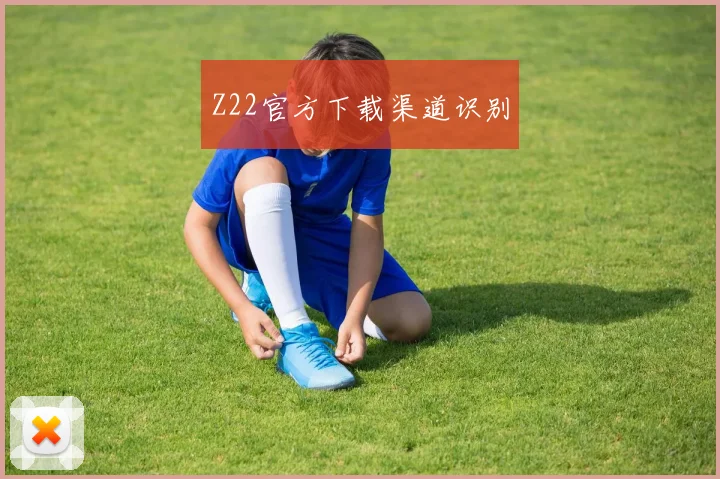 Z22官方下载渠道识别