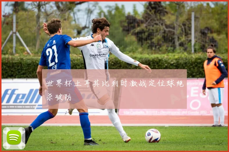 世界杯土耳其比利时激战定位球绝杀破防
