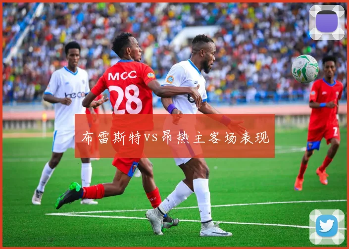 布雷斯特vs昂热主客场表现