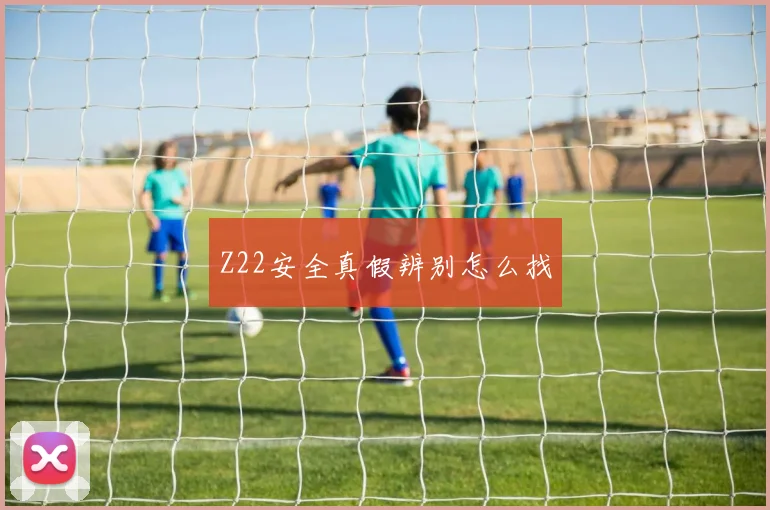 Z22安全真假辨别怎么找