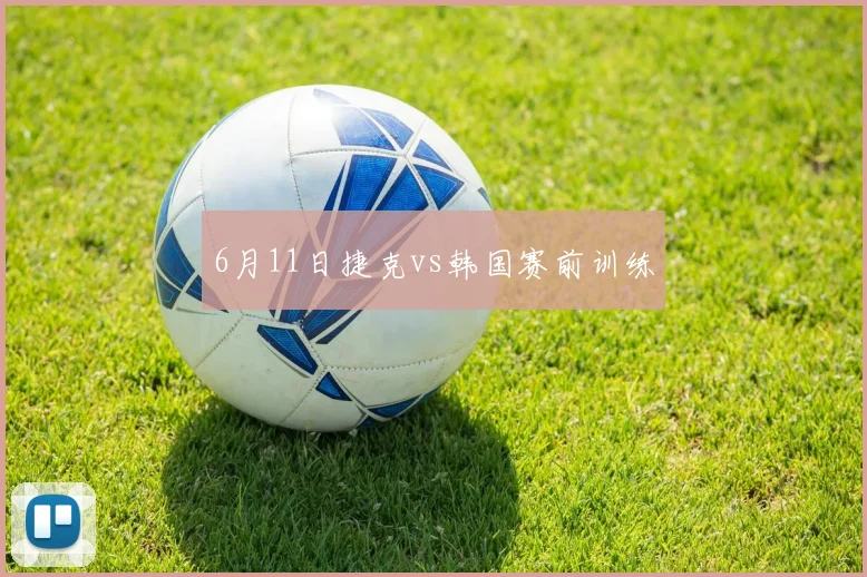 6月11日捷克vs韩国赛前训练