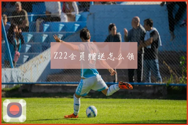 Z22会员赠送怎么领