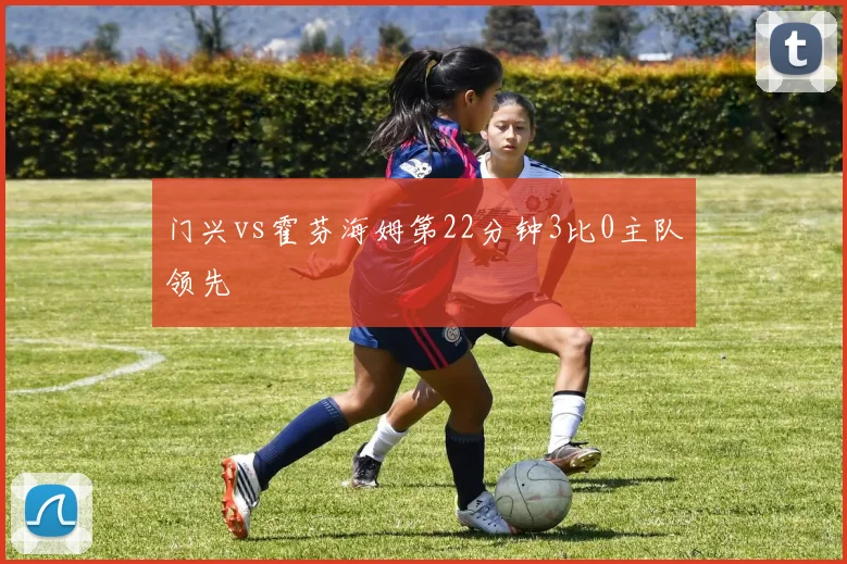 门兴vs霍芬海姆第22分钟3比0主队领先